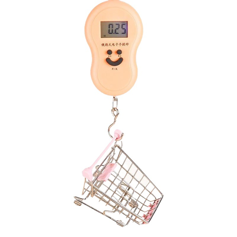 50kg Hoist Scale with Backlight Manufacturer Satchel Digital Satchel Scale Luggage Express Package Hanging Scale Fishing Scale