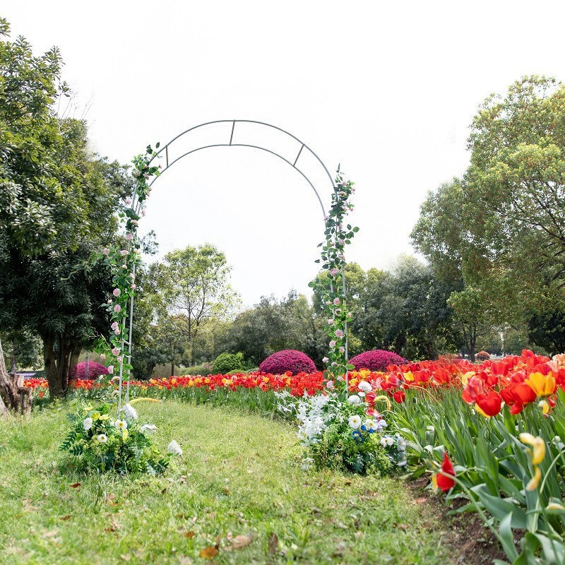 Picture of Source Factory Cross-border Hot Sale Courtyard Iron Arch Climbing Rack Wedding Garden Rose Flower Rack Grape Rack