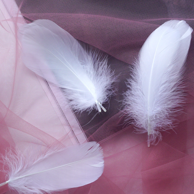 Picture of Macaron color feather decoration goose feather large and medium floating dream catcher gift box filled bouquet diy handmade material