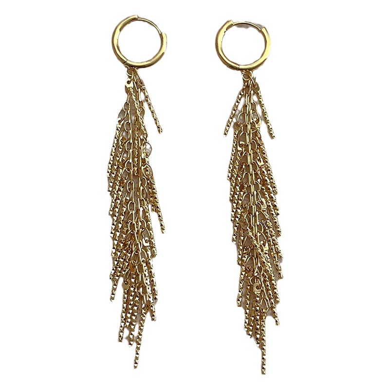 Japanese and Korean simple design metal tassel long earrings women's high-grade light luxury all-match chain earrings earrings