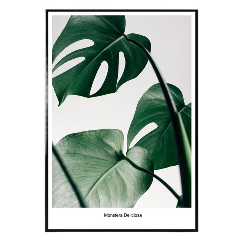 Nordic Decorative Painting Green Plant Small Fresh Turtle Bamboo Pineapple English Hanging Painting Hotel Hotel Home Decoration Frameless Painting