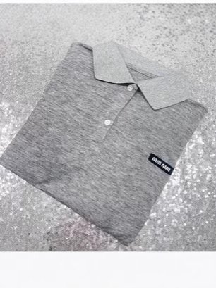 Nanyou High Version Miu Style Autumn and Winter Fashionable Simple Casual Age-reducing Micro-standard Embroidered All-match Polo Collar T-shirt Top