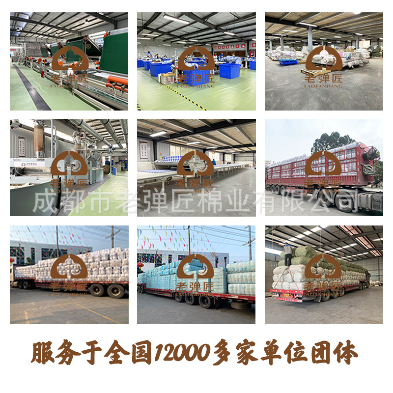 Picture of Civil Emergency Relief Xinjiang Long-staple Cotton Quilt Quilt Quilt School Student Quilt Dormitory Bedding Factory Batch