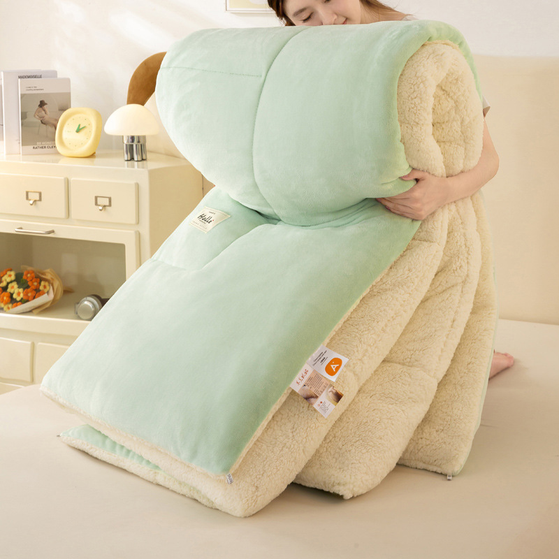 Picture of Lamb Velvet Quilt Winter Quilt Milk Velvet Coral Velvet Spring & Fall Quilt Student Dormitory Single Quilt Quilt Core Does Not Shed Lint