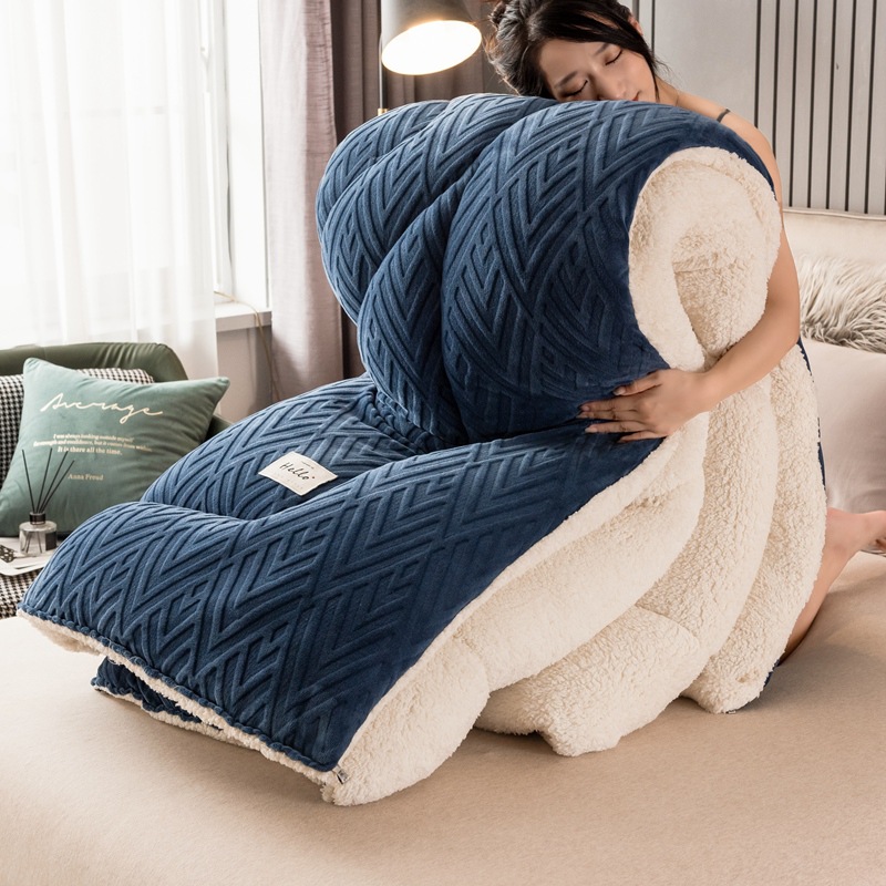Picture of Amazon cross-border e-commerce milk fleece lambswood solid color winter quilt thickened core snowflake flannel quilt mattress