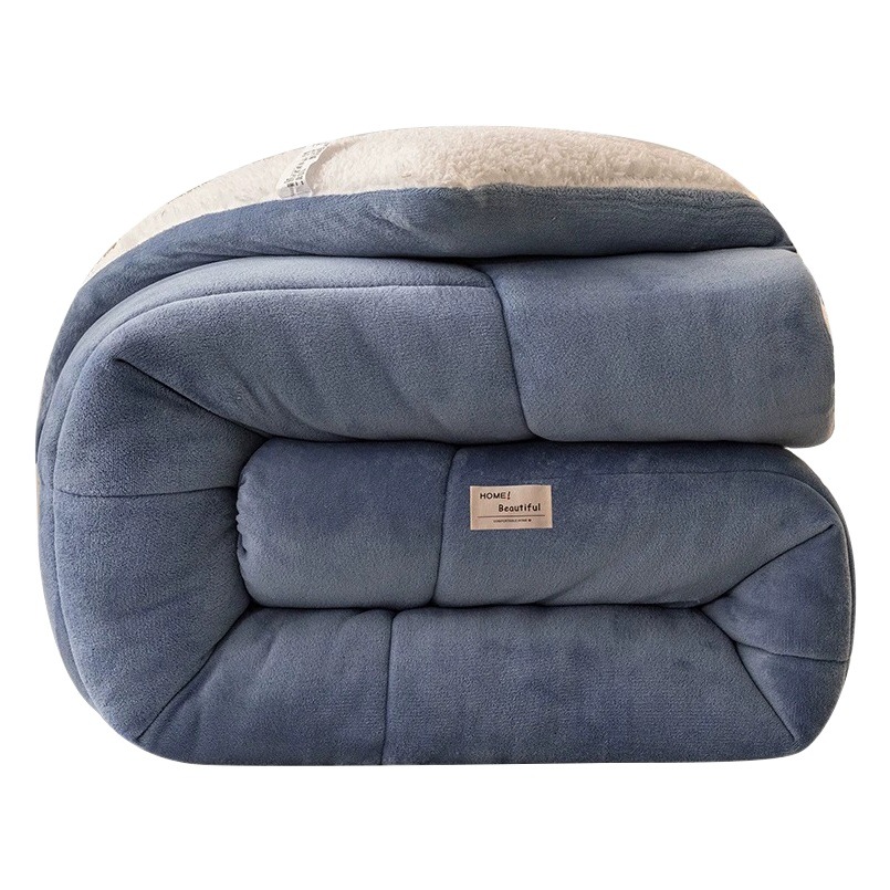Nanjiren Milk Velvet Lamb Velvet Winter Quilt Core Spring and Autumn Quilt Winter Student Dormitory Single Quilt