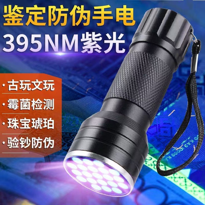 21LED Purple Light Lamp Detection Jewelry Jade Identification Banknote Inspection Nail Art Fluorescent Lighting Multi-purpose Mini Flashlight