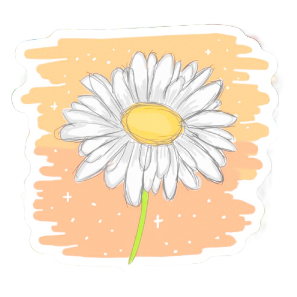 50 fresh daisy graffiti stickers mobile phone shell luggage water Cup guitar helmet waterproof pvc stickers
