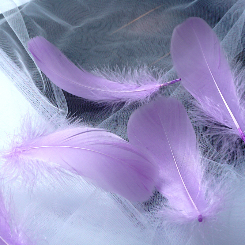 Picture of Macaron color feather decoration goose feather large and medium floating dream catcher gift box filled bouquet diy handmade material