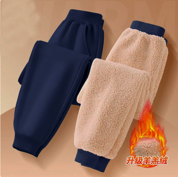 Picture of Boys' Pants 2024 Spring Warm Korean Children's Lamb Velvet Pants Large Children's fleece-lined Thickened Sweatpants