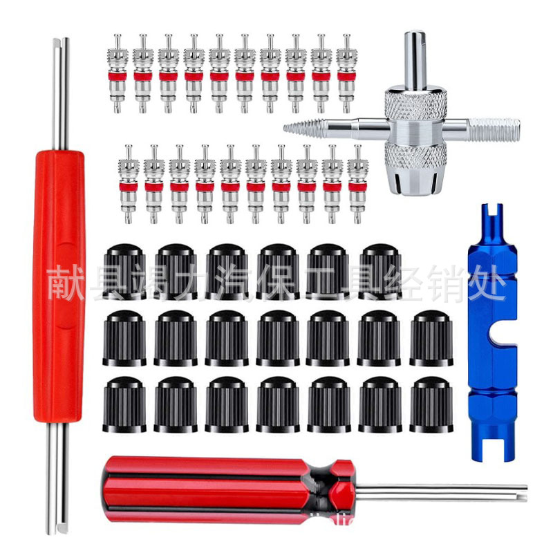 Valve Core Removal and Installation Tool Kit for French and American Style Valves, Valve Core Cap, Valve Core