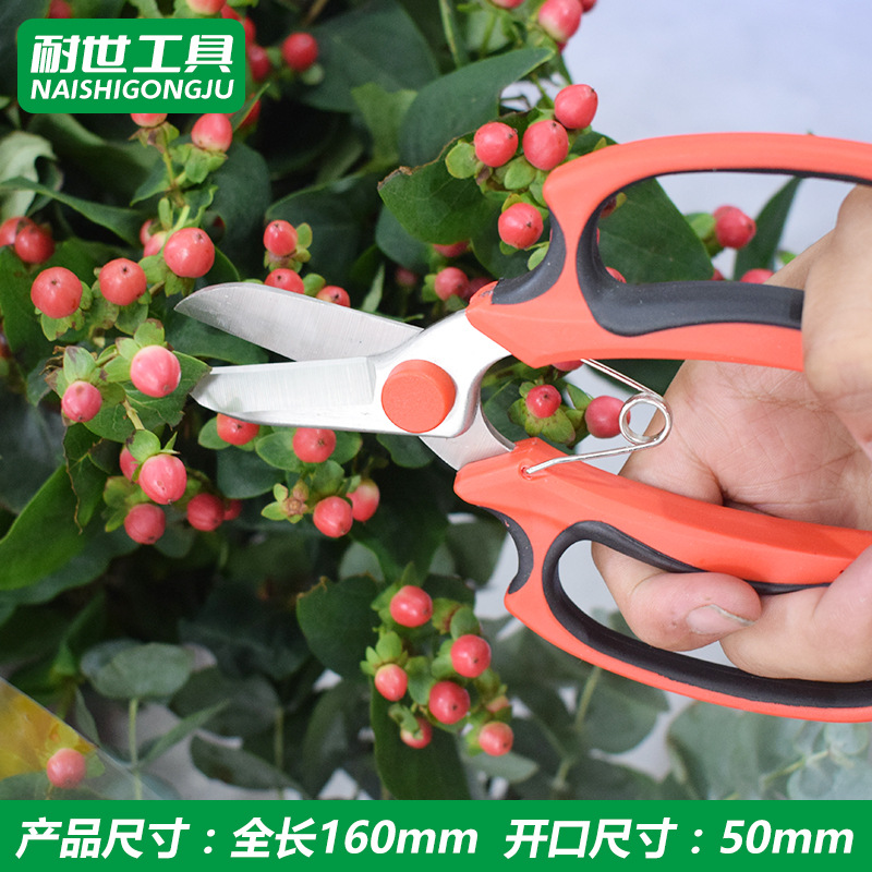 Garden Tools Stainless Steel Scissors Household Flower Repairs Flower Scissors Strong Gardening Branch Pruning Scissors