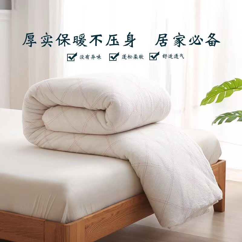 Cotton Quilt Core Winter Thickened Warm Quilt Core Cotton Wool Cushion Quilt Spring and Autumn Quilt for Students