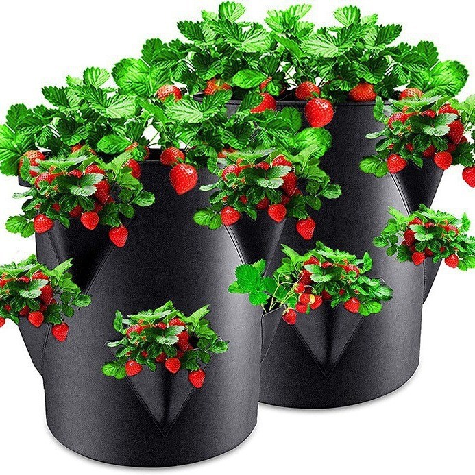 Amazon Strawberry Planting Bag Growth Bag Thickeneded Non-Woven Plant Growth Cultivation Bag Indoor and Outdoor Planting Pot