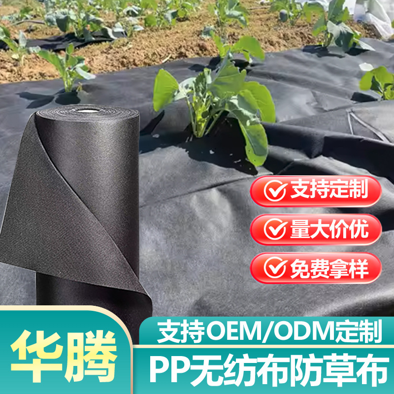 Amazon best-selling polypropylene nonwoven weed control fabric garden seedling black weed control fabric breathable and water-permeable nonwoven fabric