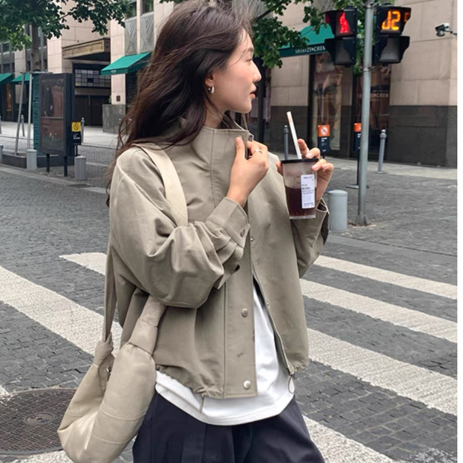 South Korea Fashion Autumn and Winter New Korean Style Slim-fit All-match Collar Short Coat Coat Women's Small Jacket Foreign Trade