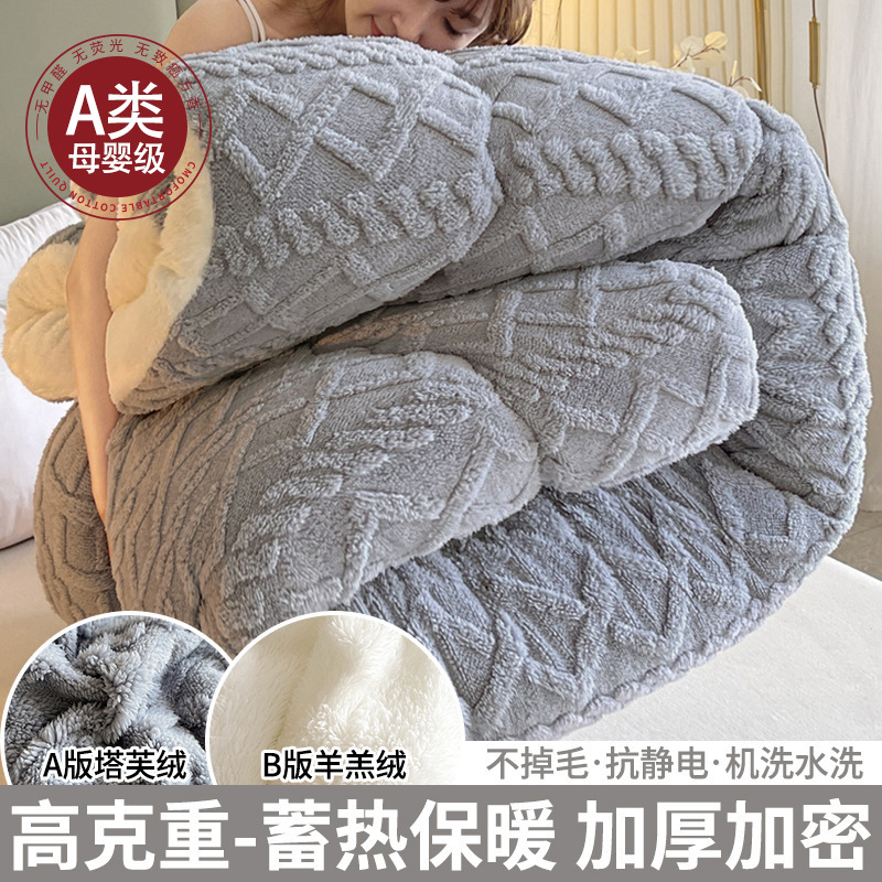 Picture of Winter Lamb Wool Quilt, Thickened Version, Warm Fleece Quilt, Autumn and Winter Milk Velvet Cotton Quilt, Student Dormitory Quilt Core