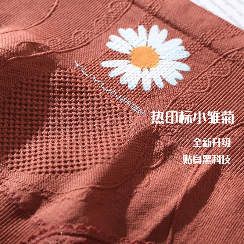 Picture of Foreign trade mid-waist tummy panties female sexy girl Daisy panties wet hip seamless briefs