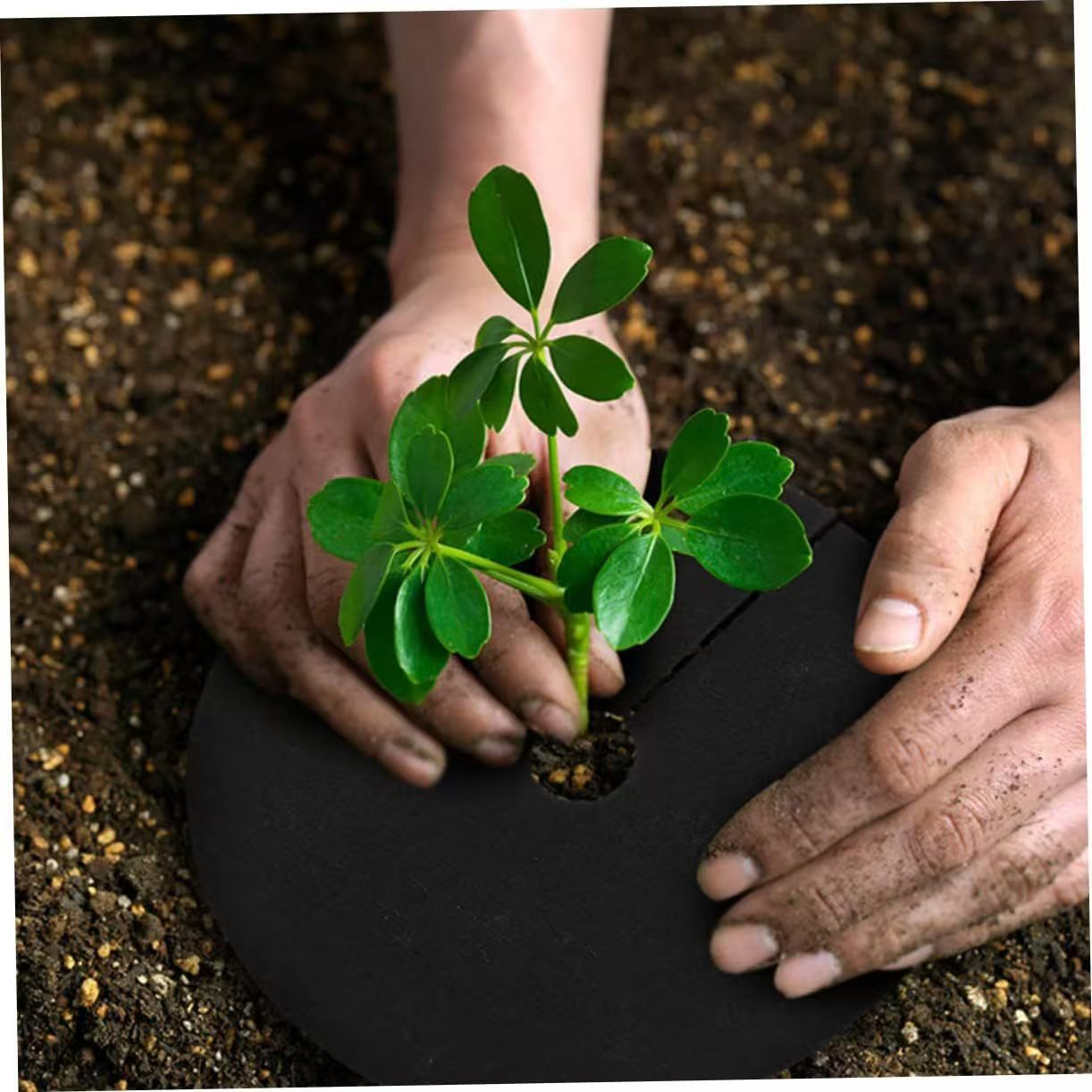 Picture of Non-woven ecological weeding cloth anti-grass cloth gardening cloth fruit tree orchard grass film breathable moisture