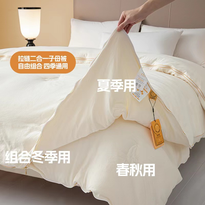 Picture of Class A Li Guanqi soybean quilt soybean fiber quilt core thickened winter quilt warm quilt core gift wholesale