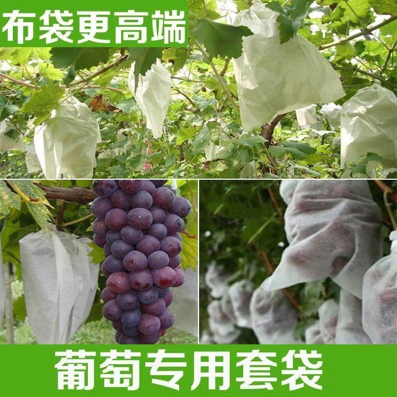 Picture of Fruit Cover Insect-proof Bag Grape Flossless Loquat Mesh Bag Non-woven Anti-bird Melon Fruit Peach Strawberry Bagging Universal Bag