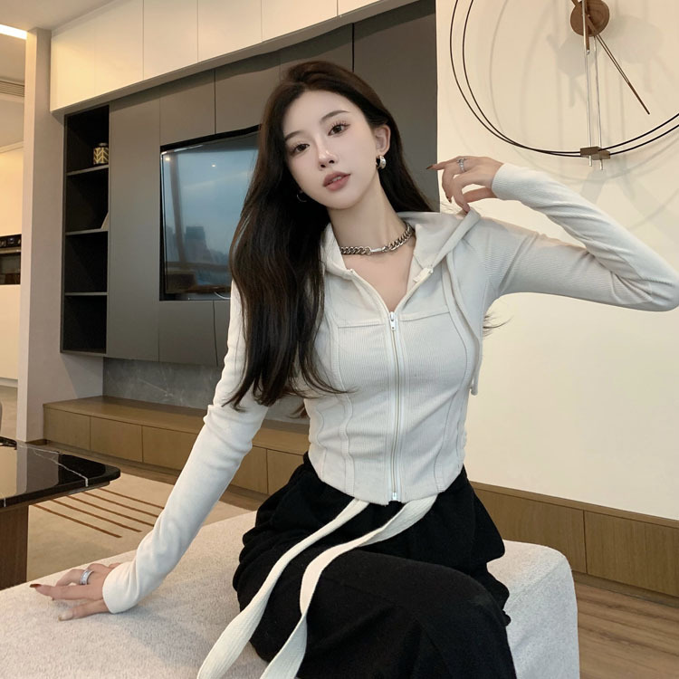 2023 New Spring and Summer Sweatshirt Coat Slim-fit Long-sleeved Cardigan Fitness Top Thin Hooded Yoga Clothes Women