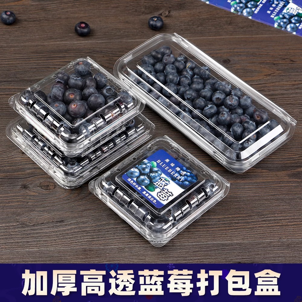 Blueberry Fruit Box Disposable Transparent Plastic Box Packaging Box Thickened Raspberry Packaging Box Wholesale Cross-Border