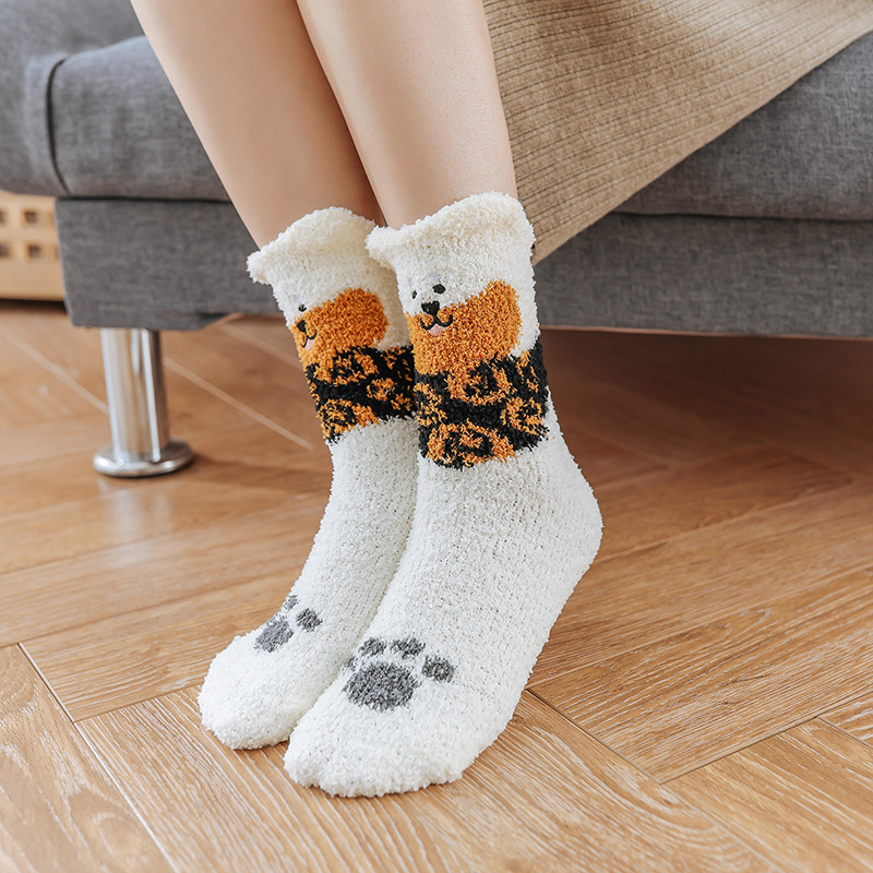 Picture of Winter Coral Fleece Sleep Socks Women Cute Puppy Cartoon Socks Thickened Warm Floor Socks Adult Towel Socks