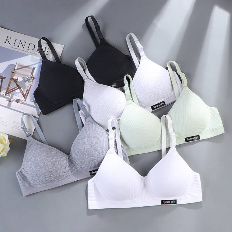 New Pure Cotton Intimates for Girls, High School Students, Ab Cup Bra, Small Breast Push-Up, No Rims, Anti-Sagging, Summer Thin
