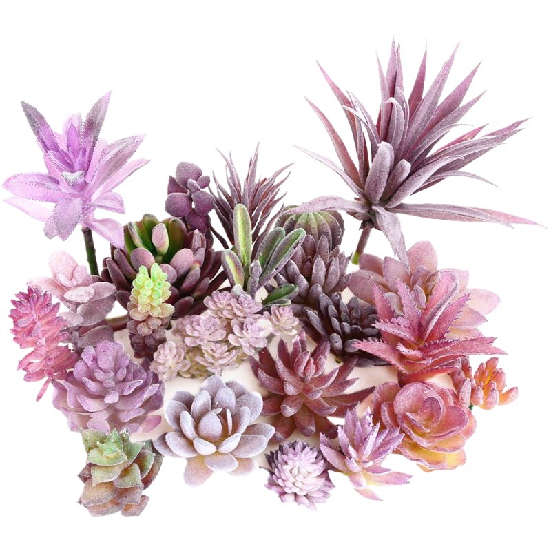 011 Purple Series Fleshy Plant Flower Head Creative DIY Design Flower Arrange Accessories Flower Factory Direct Supply Green Plant Shang