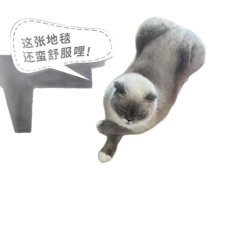 Picture of Imitation Sisal Anti-cat Claw Carpet Living Room Bedroom Japanese Style Silent Wind Sofa Bedside Blanket Solid Color Hotel Homestay Office