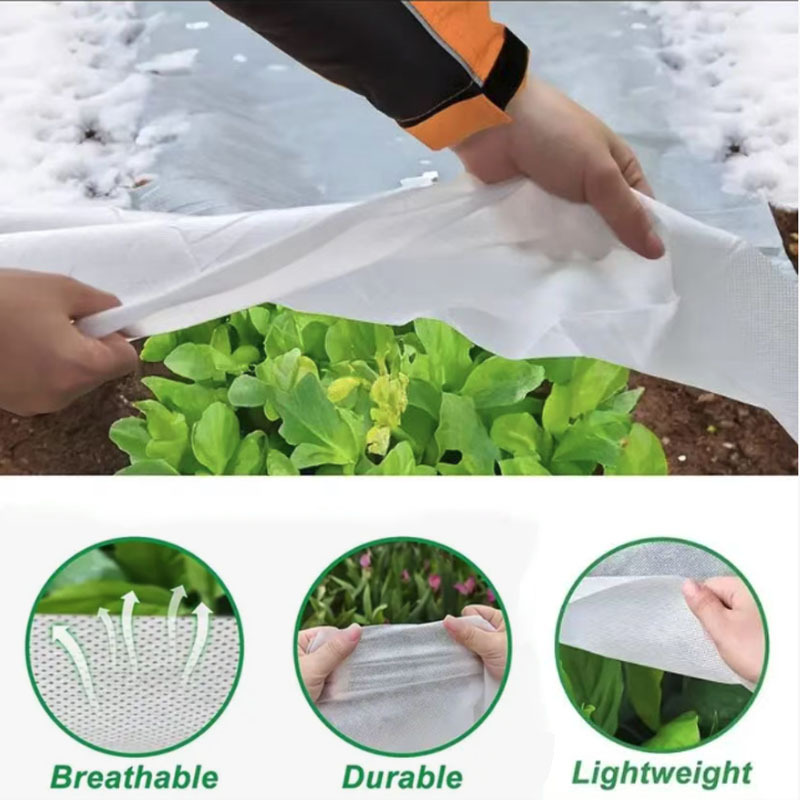 Picture of Cross-Border Supply of Pp White Agricultural Cold-Proof Non-Woven Fabric Insulation, Moisture Permeability, Anti-Aging, Ultra-Wide Splicing Covering Cloth