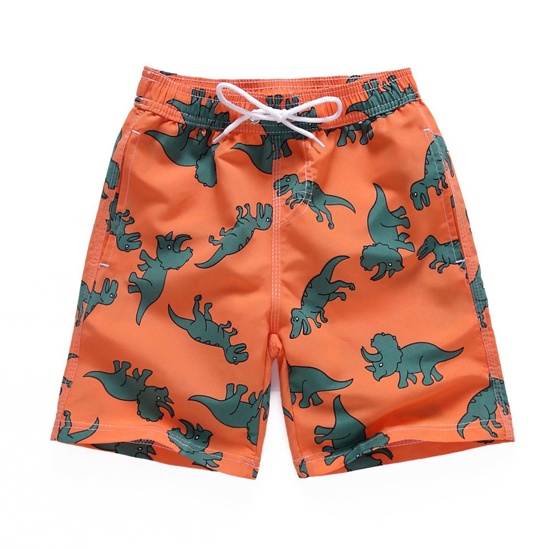 Picture of Children's Beach Pants Big Children's Outdoor Quick-drying Pants Foreign Trade Shorts Beach Swimming Leisure