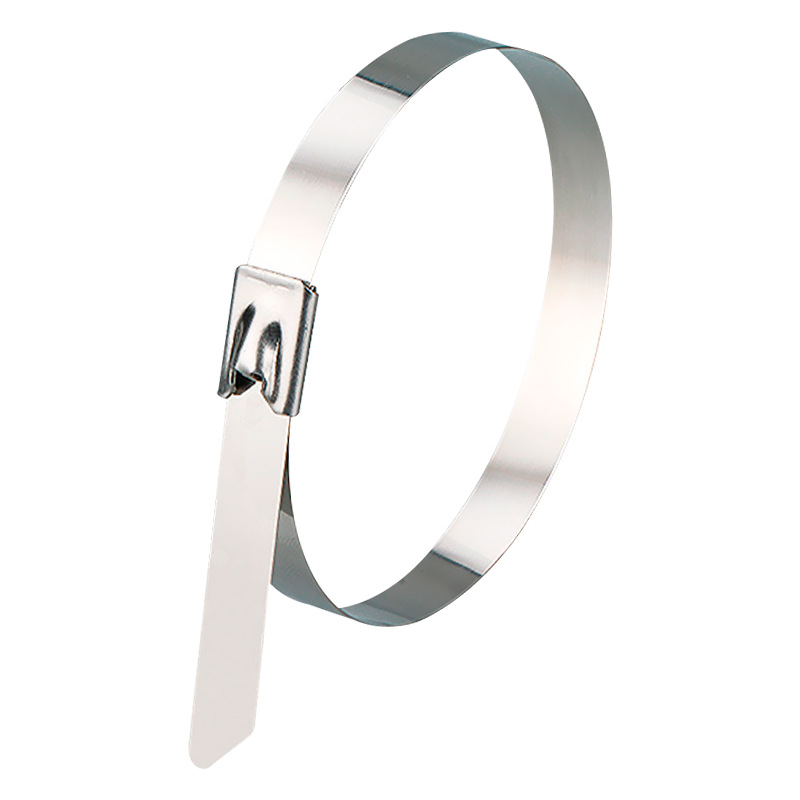 Picture of 304 stainless steel tie self-locking outdoor tie Marine buckle large ribbon tie fixed tie line
