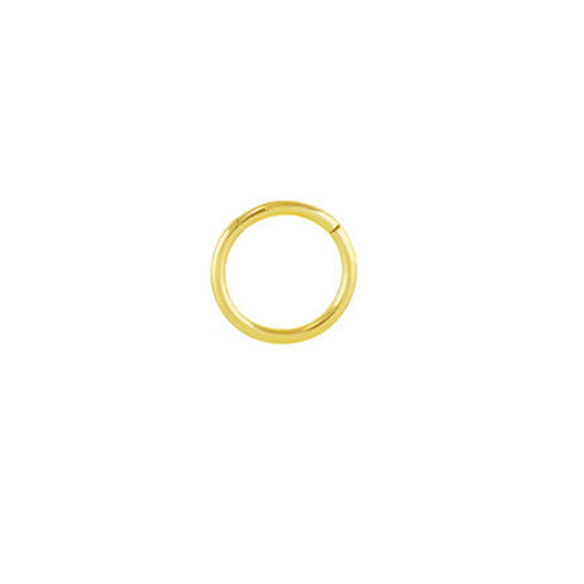 Picture of G23 Titanium Alloy Seamless Closed Ring Lip Ring Nasal Septum Colorful Nose Ring Multi-Purpose Ring Ear Bone Ring Piercing Jewelry
