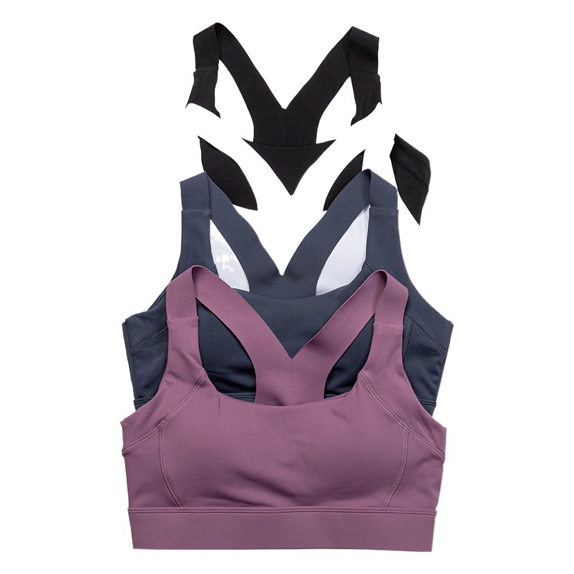 High-Intensity Sports Bra for Women, Shock-Proof Running Push-Up Internet Celebrity Fitness Bra, All-In-One Beautiful Back Yoga Vest