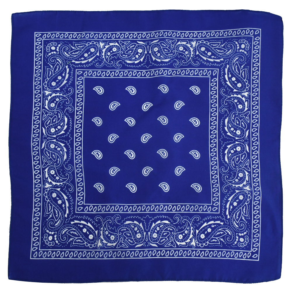Picture of Factory direct supply in stock polyester square paisley scarf wholesale hip hop hip hop riding cashew flower scarf