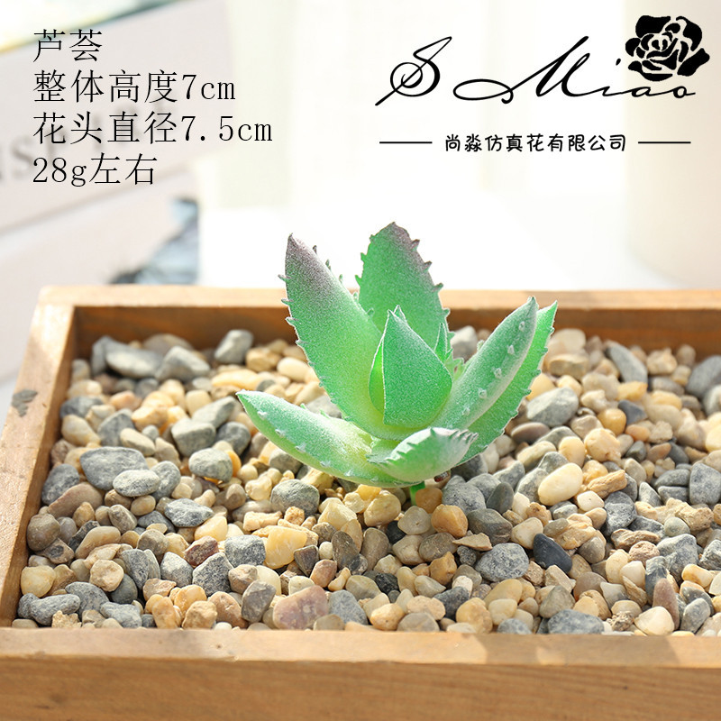 Picture of 003 Flocked Green Succulent Flower Head Creative DIY Supplies Bonsai Accessories Artificial Flower Jinhua Factory Direct Supply