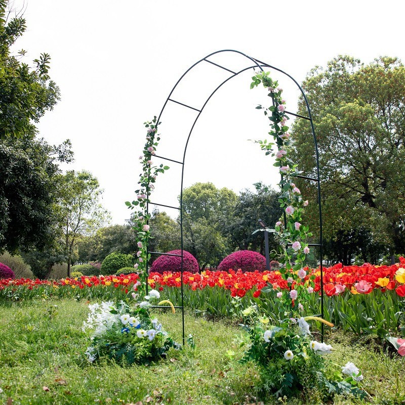 Picture of Source Factory Cross-border Hot Sale Courtyard Iron Arch Climbing Rack Wedding Garden Rose Flower Rack Grape Rack