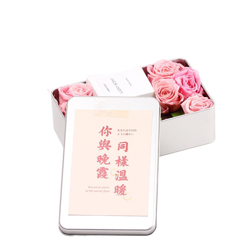 Tinplate Rectangular Comb Iron Box Mother's Day Creative Gift Silk Scarf Wooden Comb Square Iron Box Packaging Box