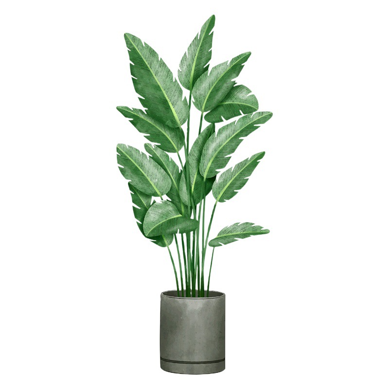 New Ms-G011 Tropical Green Plant Simulation Green Leaf Potted Plant DIY Bedroom Living Room Background Wall Home Decoration Wall Sticker