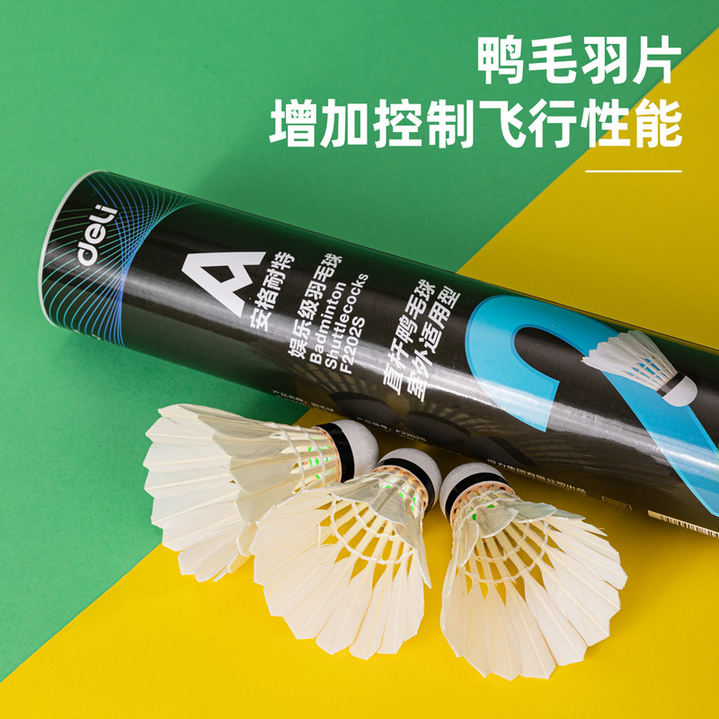 Picture of Angnete F2202S Badminton (white)(12 PCs/tube)