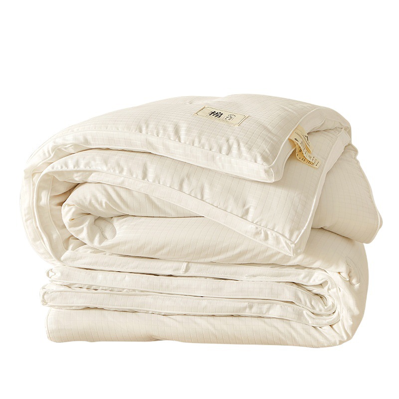 Category a Maternal and Infant Raw Cotton 51% Soy Fiber Winter Thickeneded Quilt Spring & Fall Quilt Single Double Machine Washable Quilt Core