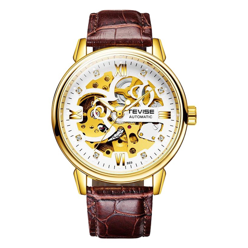 Tevise Cross-Border New Second-Class E-Commerce Watch Wholesale Douyin Hot Waterproof Business Men's Mechanical Watch