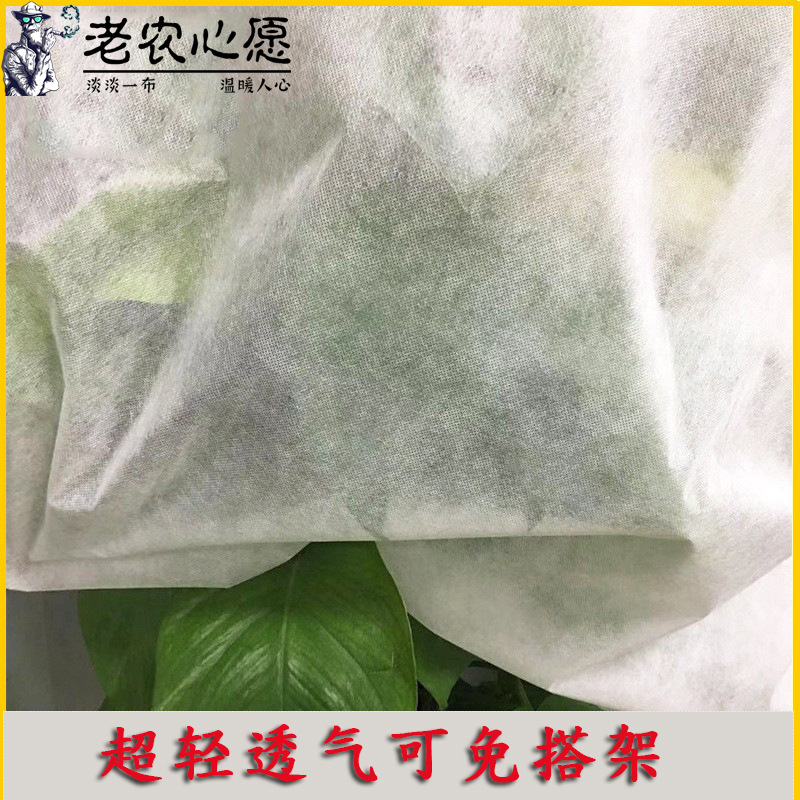 Picture of Wholesale Sapling Waterproof Cloth Cherry Cherry Cherry Blueberry Breathable Anti-bird New Fruit Plant Sapling Rainproof Cloth