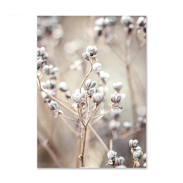Picture of Amazon Fashion Poster Grass Reed Wall Painting Peony Flower Fashion Poster Citation Figure Girl Bedroom Decoration