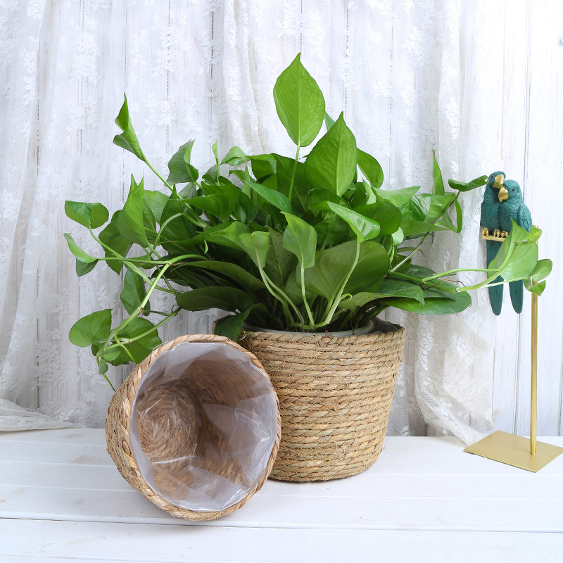 Picture of Cross-border Hot Sale Straw Rattan Flower Basket Creative Home Woven Basket Balcony Living Room Decoration Green Plant Potted Flower Pot