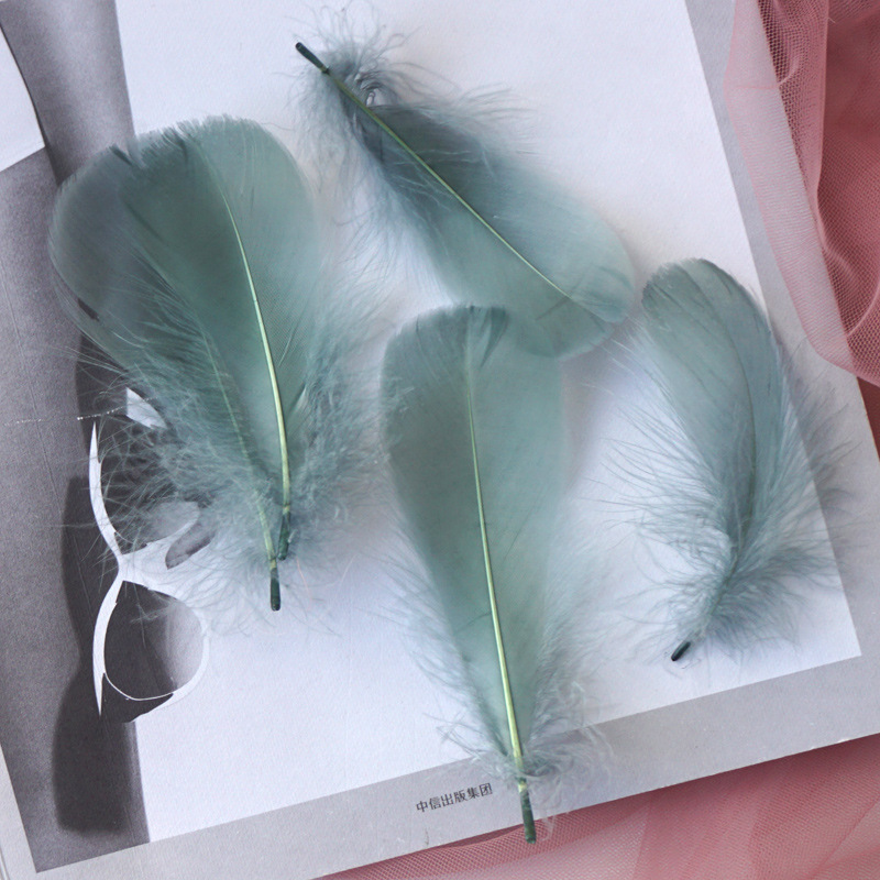 Picture of Color feather DIY floating dyeing goose feather dream catcher wave ball gift box filling decorative materials wholesale