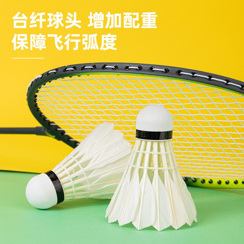 Picture of Angnete F2202S Badminton (white)(12 PCs/tube)