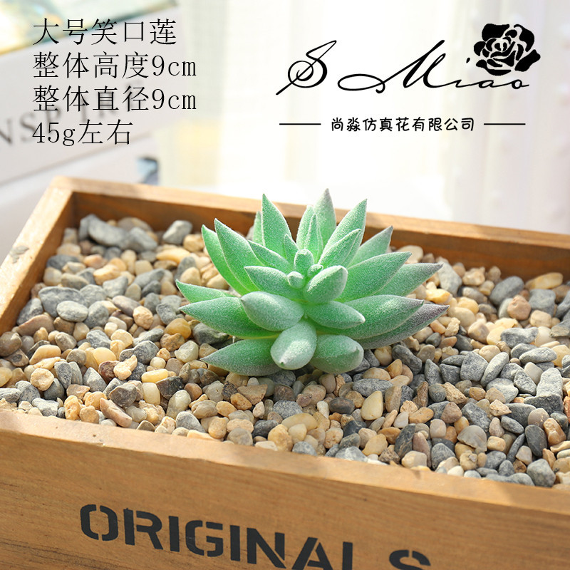 Picture of 003 Flocked Green Succulent Flower Head Creative DIY Supplies Bonsai Accessories Artificial Flower Jinhua Factory Direct Supply